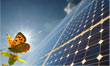 Renewables